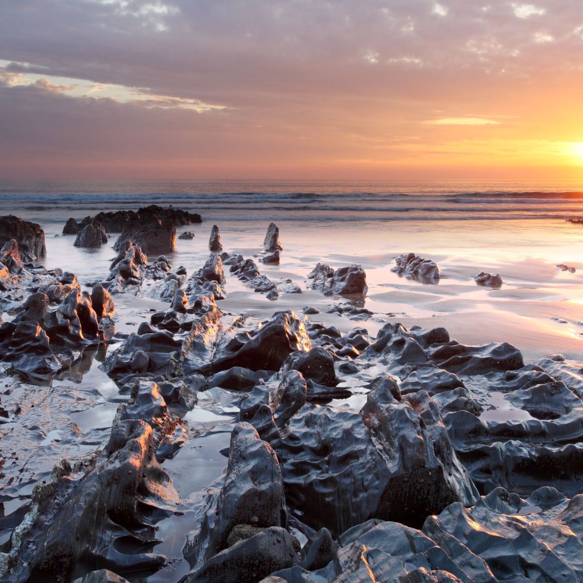 Elizabeth Berry – Notorious&nbsp;Wrecker